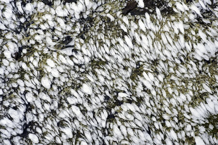 windy rime snow on the ground