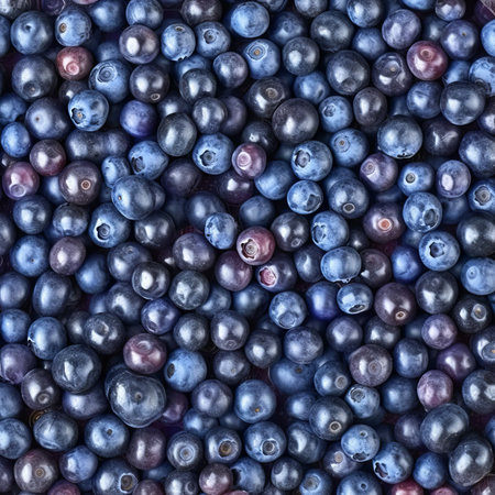 Blueberries background. Top view. Flat lay. Closeup.の素材