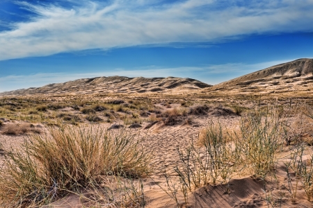 Kelso sand dunes in Mojave National monument with a beautiful dramatic sky in the back ground and grasses in the foregroundの写真素材