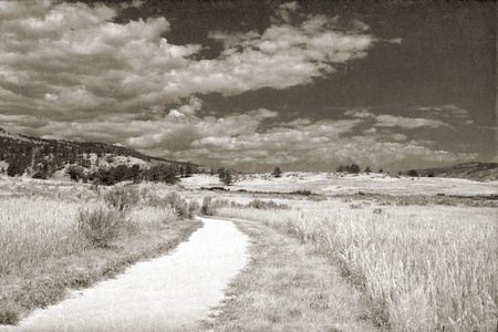 Dirt path leading through a prairie with mountains and cloudy sky in sepia with a textured overlayの写真素材