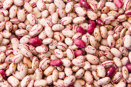 Red beans seen up close