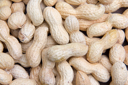Many Peanuts seen up close from above の写真素材