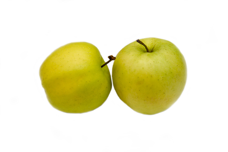 Two yellow apples on a white backgroundの写真素材