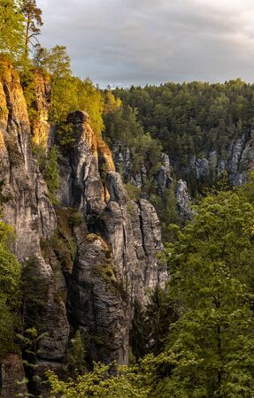Morning vibes in Saxon switzerland, saxony, germanyの写真素材