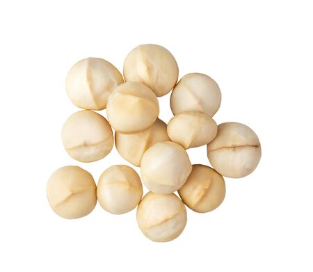 Peeled Macadamia nut isolated on a white background. top viewの写真素材