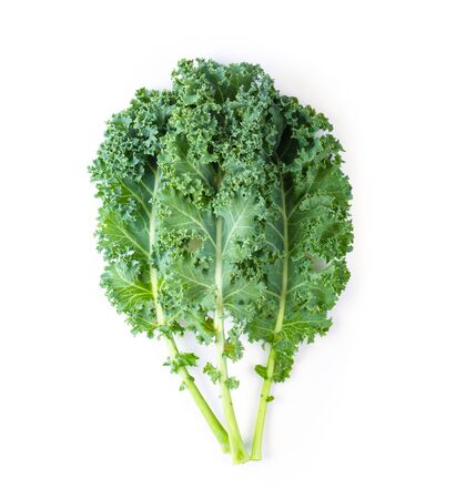 Fresh organic green kale leaves pattern on a white background. top viewの写真素材