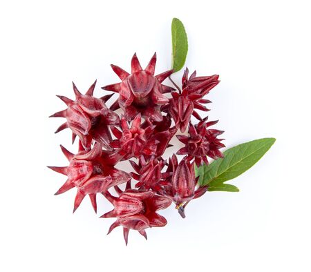 roselle hibiscus with leaf on white background top viewの写真素材