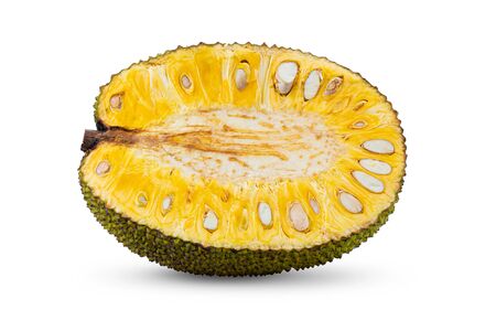 Jackfruit isolated on white background 