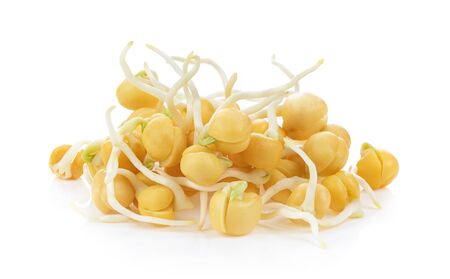 snow pea sprouts isolated on white backgroundの写真素材