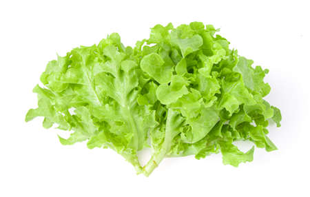 Salad leaf Lettuce isolated on white backgroundの写真素材