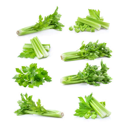 set of fresh celery isolated on white backgroundの写真素材