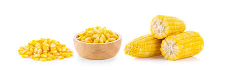 sweet corn isolated on white backgroundの写真素材