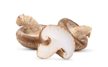 Shiitake mushroom isolated on white backgroundの写真素材