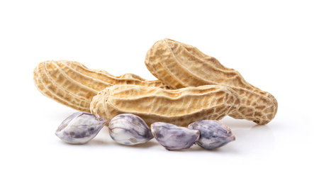peanuts isolated on white backgroundの写真素材