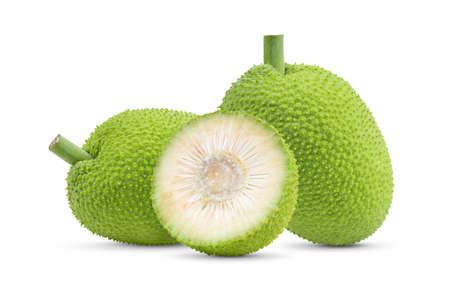 breadfruit isolated on white background