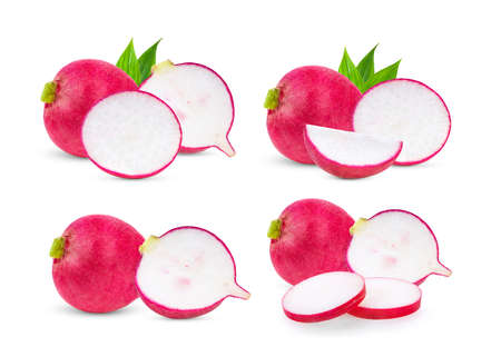 fresh radish with leaf isolated on white backgroundの写真素材