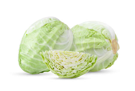 pointed cabbage isolated on white backgroundの写真素材