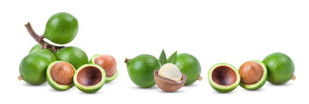 macadamia nuts isolated on white backgroundの写真素材