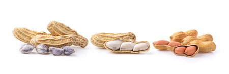 peanuts isolated on white background