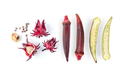 roselle hibiscus on white background. top viewの写真素材