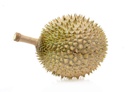 Durian isolated on white background.の写真素材