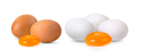 fresh egg isolated on white background