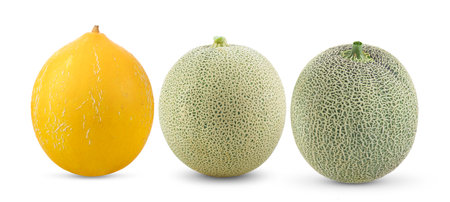 Melon isolated on white backgroundの写真素材