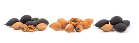 velvet tamarind fruit ( Dialium cochinchinense) isolated on white background