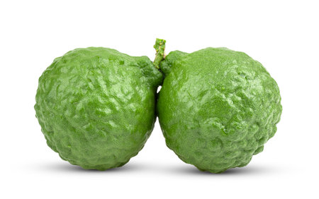 Bergamot isolated on white backgroundの写真素材