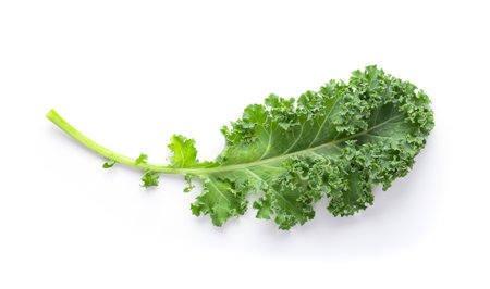 fresh kale isolated on white background top viewの写真素材
