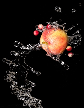 Apple with water drops and cranberries on a black backgroundの写真素材
