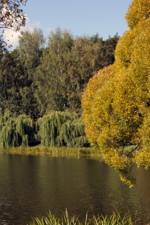 Autumn trees on the banks of the pond in Pakri Pokrovskoe-Streshnevoの写真素材