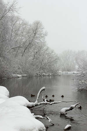 Blizzard in February in the snowy banks of the Pehorka