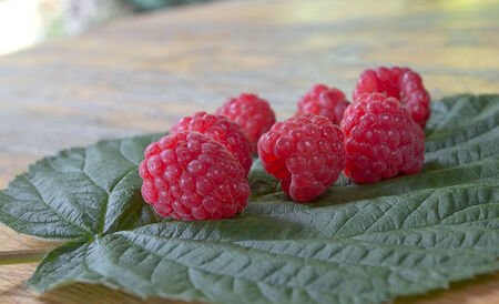 Fresh red berries ripe raspberry