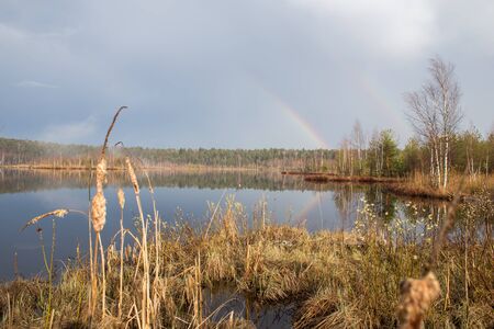 Lake Yushin after spring thunderstormsの写真素材