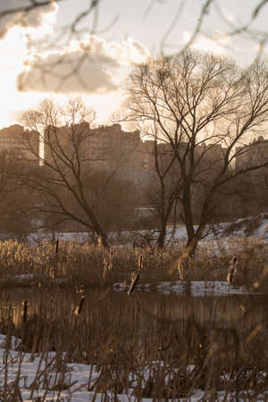 Pekhorka River in Pehra-Yakovlevskaya, Balashikhaの写真素材