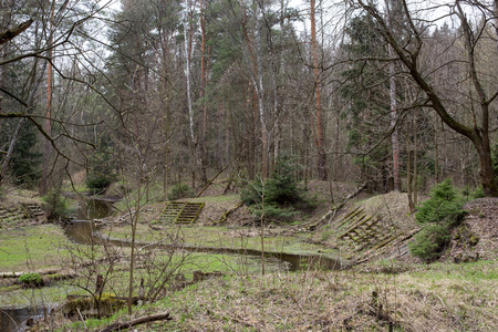 Origins Pekhorka - creek in the forest parkの写真素材