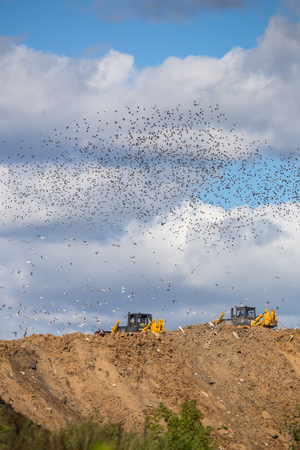 Kuchinskaya dump of solid domestic waste city of Balashikhaの写真素材