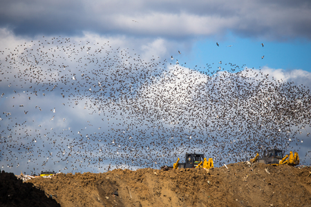 Kuchinskaya dump of solid domestic waste city of Balashikhaの写真素材