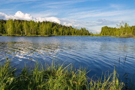 Summer landscape on the lake Kozlovoの写真素材
