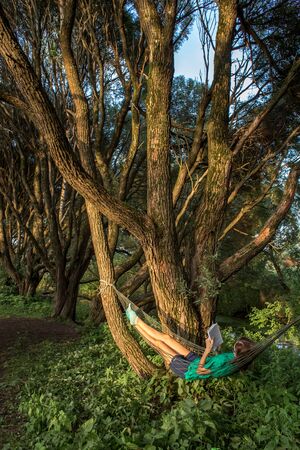 Moscow, Russia - July 21, 2018: The girl reads the book in the city Izmailovo park on a shadow of old curly willowsのeditorial素材