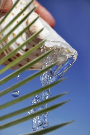 Fresh Water trickling from seashell behind palm foliageの写真素材