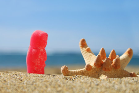 Jelly  looking at starfish on tropical beachの写真素材