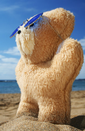 Groovy teddy bear on the beachの写真素材