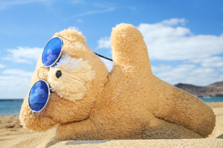 Teddy bear on a beach holidayの写真素材