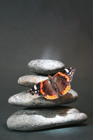 Pebble stack with red admiral butterfly; butterfly is lit up by shaft of sunlightの写真素材