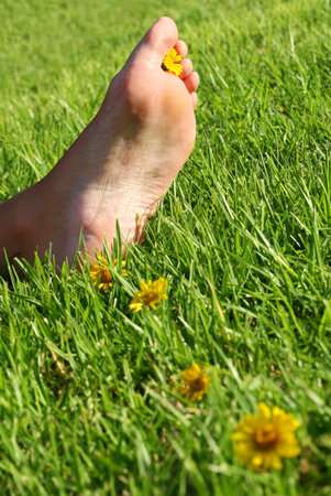 Foot with flowers in meadowの写真素材