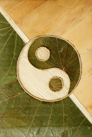 Ying-Yang symbol in dried leavesの写真素材