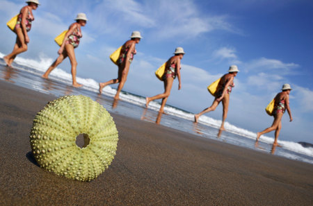 Woman walking on the beach with sea urchin in the foregroundの写真素材