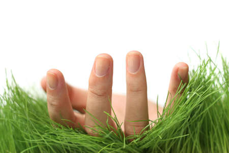 Woman's hand palm up in the grass as if she were alying on her backの写真素材